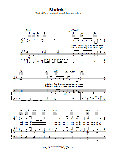 Blackbird von The Beatles (Download) 