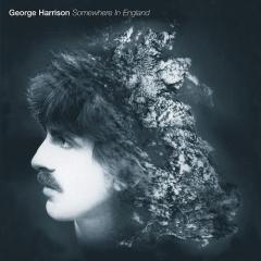 Baltimore Oriole von George Harrison (Download) 