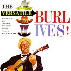 A Little Bitty Tear von Burl Ives (Download) 