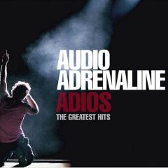 Leaving 99 von Audio Adrenaline (Download) 
