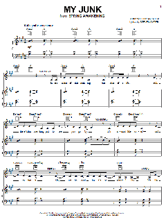 My Junk von Duncan Sheik (Download) 