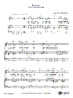 Basheirt von Robbie Solomon (Download) 