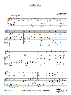 Hashkiveinu von Robbie Solomon (Download) 