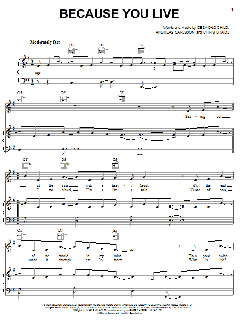 Because You Live von Jesse McCartney (Download) 