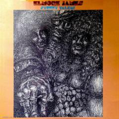 It Hurts Me Too von Elmore James (Download) 