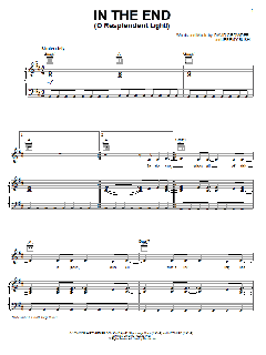 In The End (O Resplendent Light!) von David Crowder (Download) 