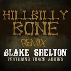 Hillbilly Bone von Trace Adkins (Download) 