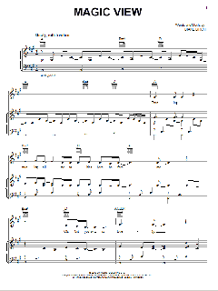 Magic View von Diane Birch (Download) 