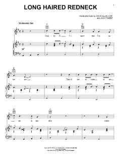 Long Haired Redneck von David Allan Coe (Download) 