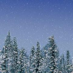 A Merry Christmas To Me von Daniel Martin Rodowicz (Download) 