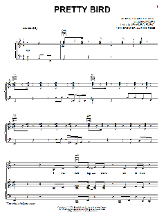 Pretty Bird von Jemaine Clement (Download) 