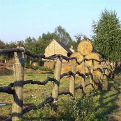 Magasan Repul A Daru (Hungaria's Treasure) von Hungarian Folksong (Download) 