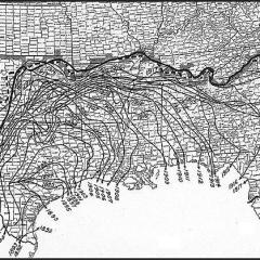 The Boll Weevil von Texas Folksong (Download) 