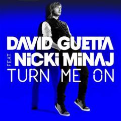 Turn Me On von David Guetta (Download) 