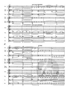 Sinfonie Nr. 7 d-Moll op. 70 von Antonín Dvořák (Download) 