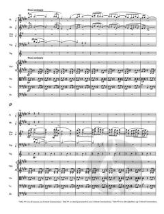 Symphonie Nr. 9 e-Moll op. 95 von Antonín Dvořák 