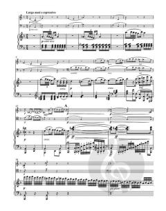 Trios für Klavier, Violine und Violoncello op. 70 