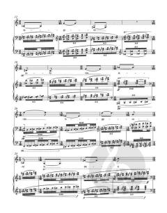 canti della tenebra von Beat Furrer (Download) 