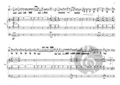 Organova 11: Sense of Rhythm (Zsigmond Szathmary) 