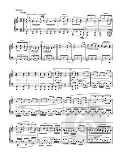 Sonate c-Moll op. 111 von Ludwig van Beethoven (Download) 