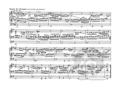 Kanonische Veränderungen über O Traurigkeit, o Herzeleid von Hans Martin Schneidt (Download) 