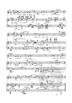 Wechselrahmen op. 189 von Ernst Krenek 
