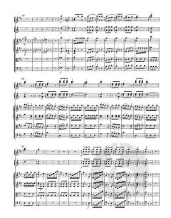 Sinfonie D-Dur KV 196/121(207a) von Wolfgang Amadeus Mozart 