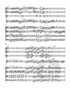 Konzert Nr. 2 D-Dur KV 211 von Wolfgang Amadeus Mozart (Download) 