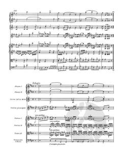 Violinkonzert G-Dur KV 216 von Wolfgang Amadeus Mozart 