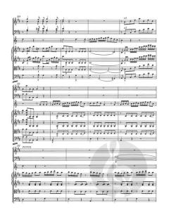 Konzert Nr. 1 D-Dur KV 412, 514 (386b) von Wolfgang Amadeus Mozart (Download) 