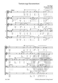 Geistliche Chormusik a cappella (Max Reger) 