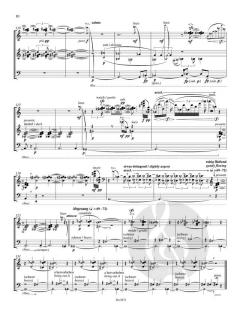 Echoes, Edges von Charlotte Seither (Download) 