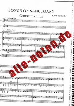 Adiemus von Karl Jenkins 