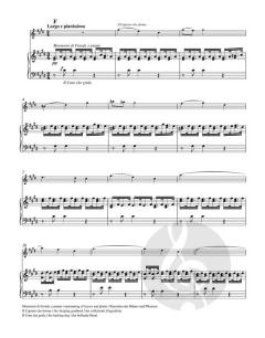 Konzert in E-Dur op. 8/1 "Frühling" 