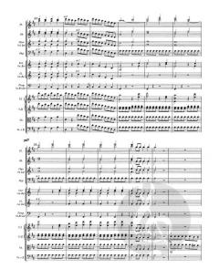 Le nozze di Figaro / Die Hochzeit des Figaro von Wolfgang Amadeus Mozart 