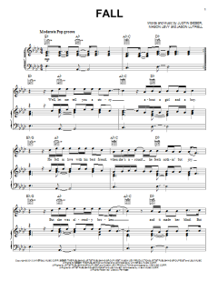 Fall von Justin Bieber (Download) 