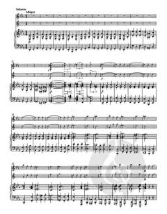 Trio op. 40 (Johannes Brahms) 