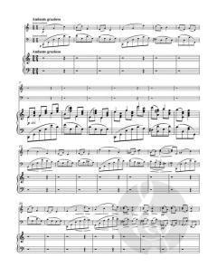 Trio op. 101 von Johannes Brahms (Download) 