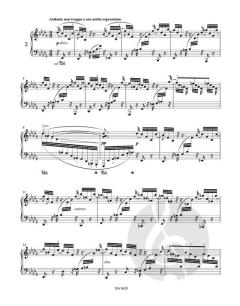 Drei Intermezzi op. 117 von Johannes Brahms 