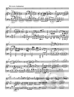 Konzert pour Potsdam D-Dur von Johann Joachim Quantz (Download) 