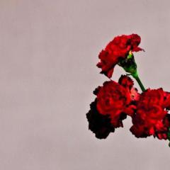 You And I (Nobody In The World) von John Legend (Download) 