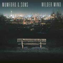 Believe von Mumford & Sons (Download) 
