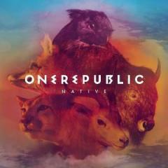 What You Wanted von OneRepublic (Download) 
