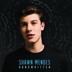 Stitches von Shawn Mendes (Download) 