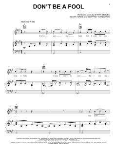 Don't Be A Fool von Shawn Mendes (Download) 