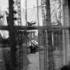 Too Much Rain von Paul McCartney (Download) 