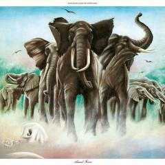 (What's So Funny 'Bout) Peace, Love And Understanding von Elvis Costello (Download) 