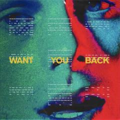 Want You Back von 5 Seconds of Summer (Download) 