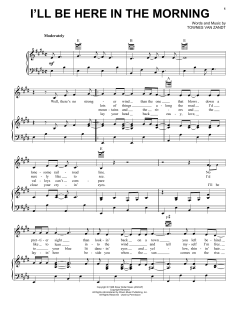 I'll Be Here In The Morning von Townes Van Zandt (Download) 