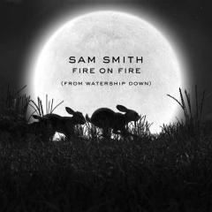 Fire On Fire von Sam Smith (Download) 